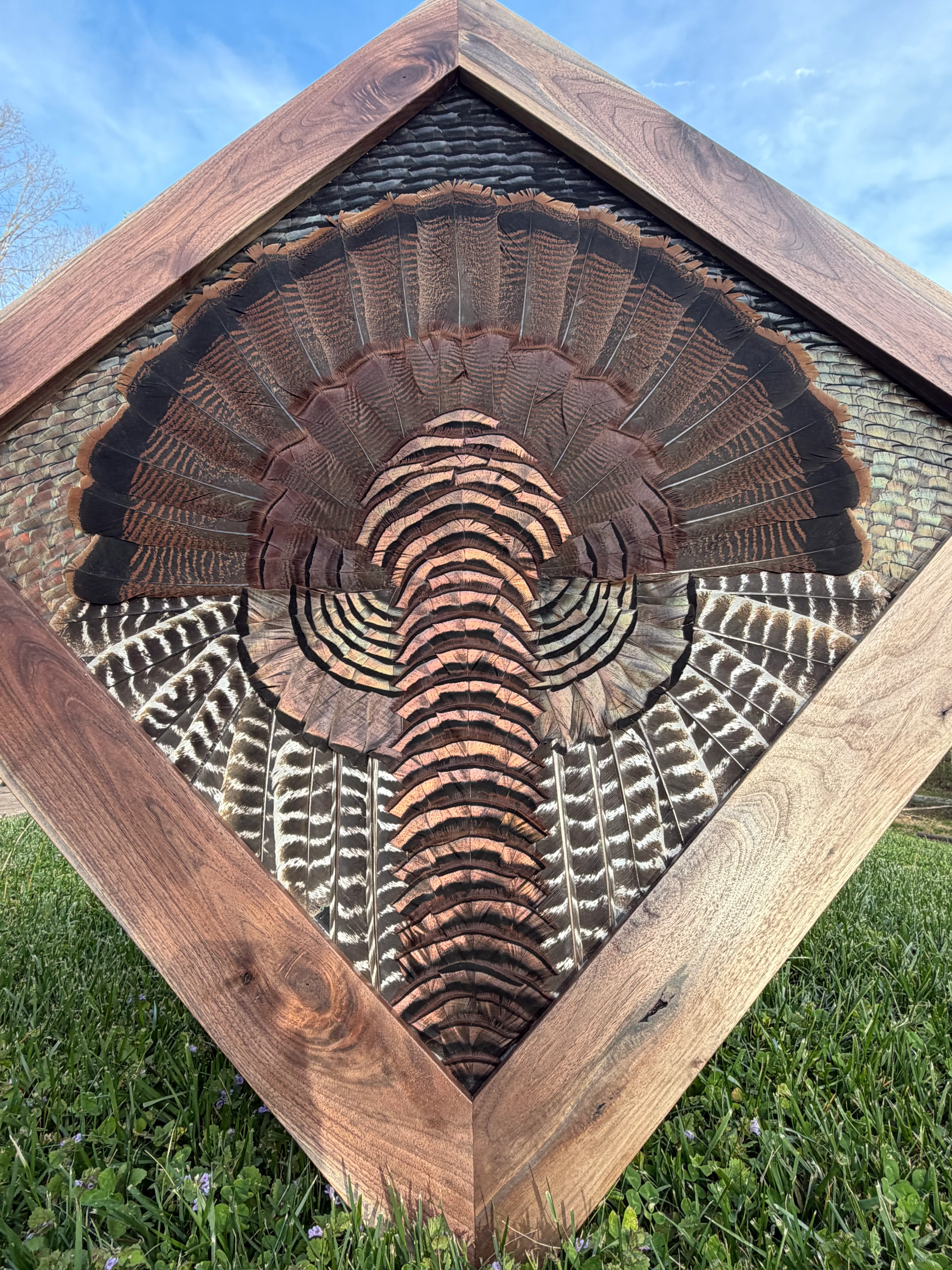 Diamond turkey feather art piece by Steve Morgan — 1