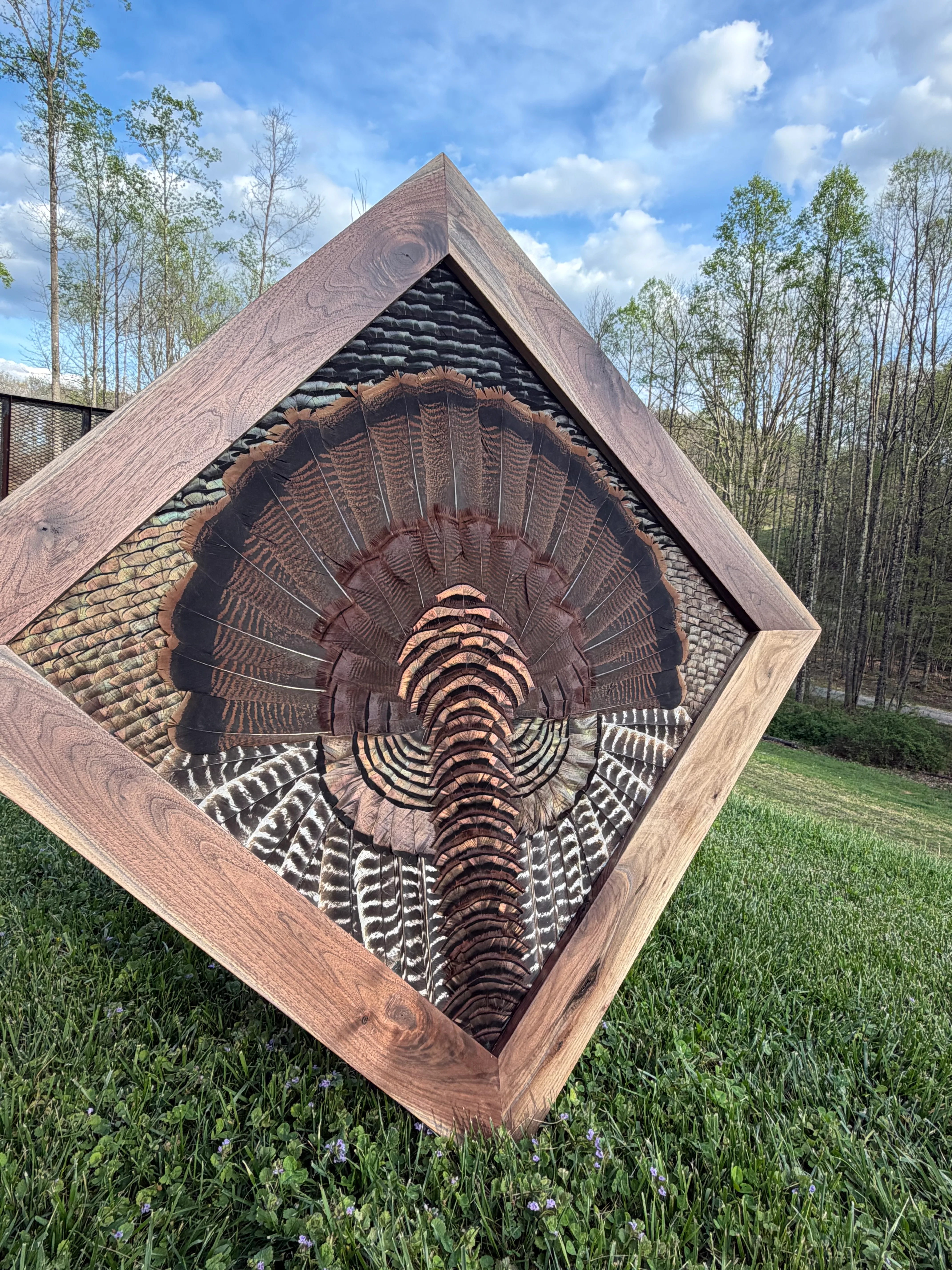 Diamond turkey feather art piece by Steve Morgan — 2