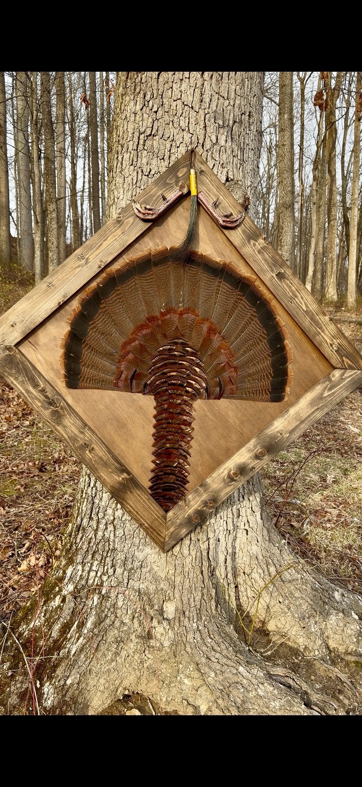 Diamond turkey feather art piece by Steve Morgan — 3