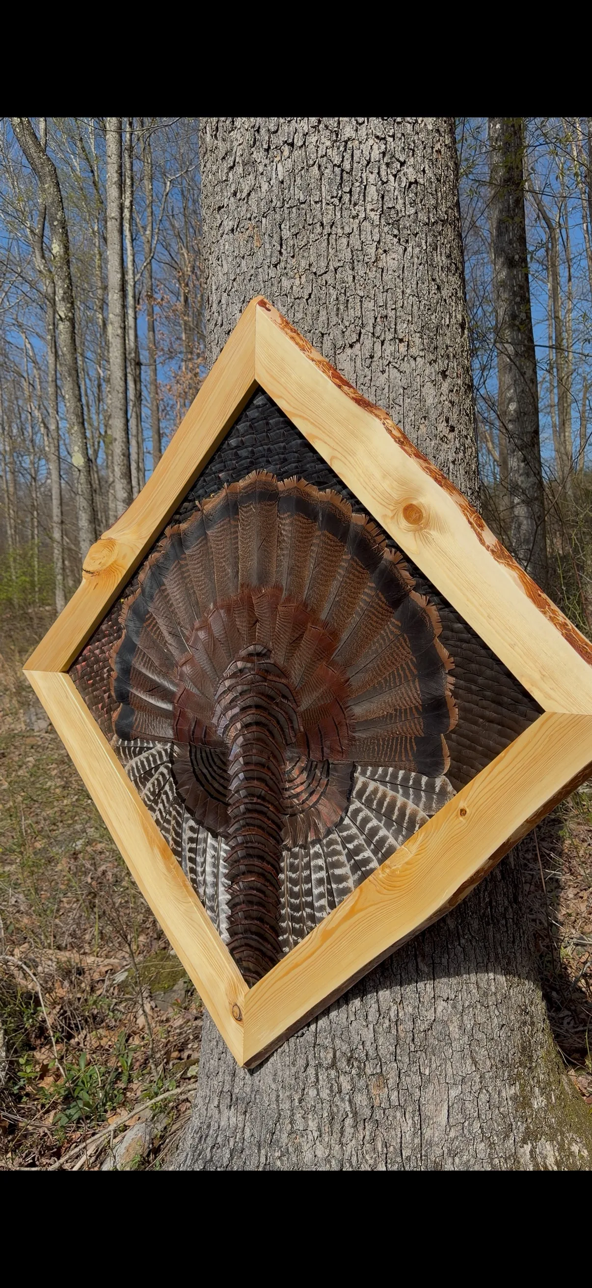 Diamond turkey feather art piece by Steve Morgan — 4