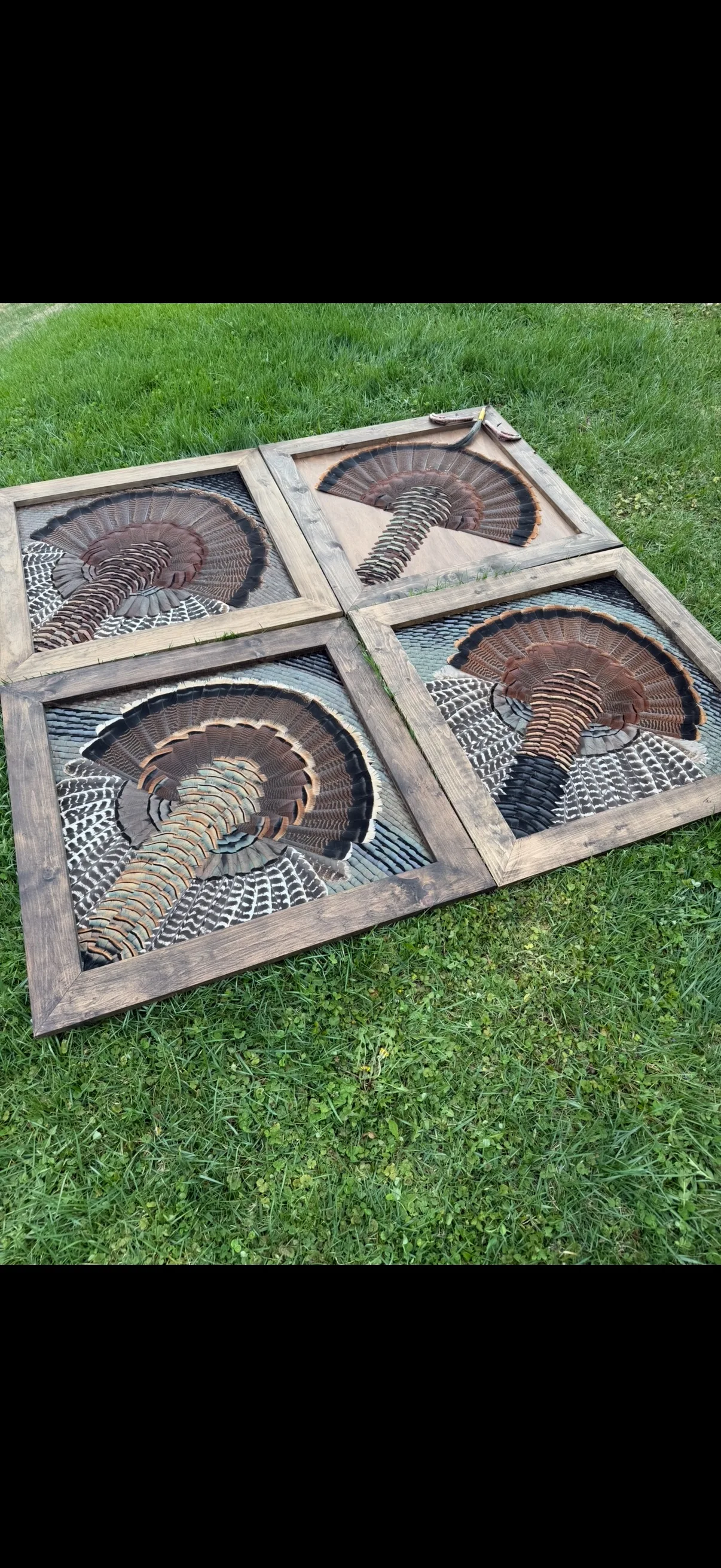 Diamond turkey feather art piece by Steve Morgan — 5