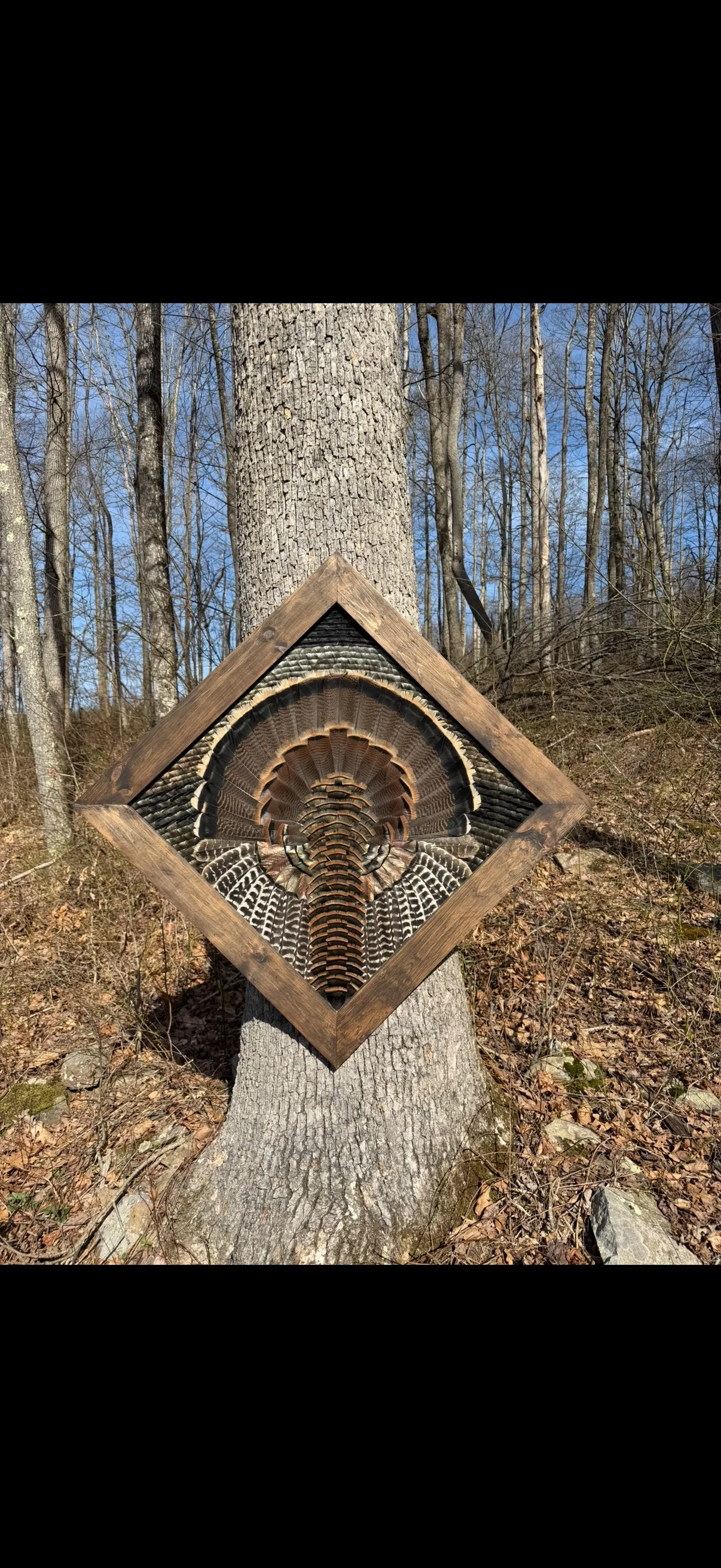 Diamond turkey feather art piece by Steve Morgan — 6